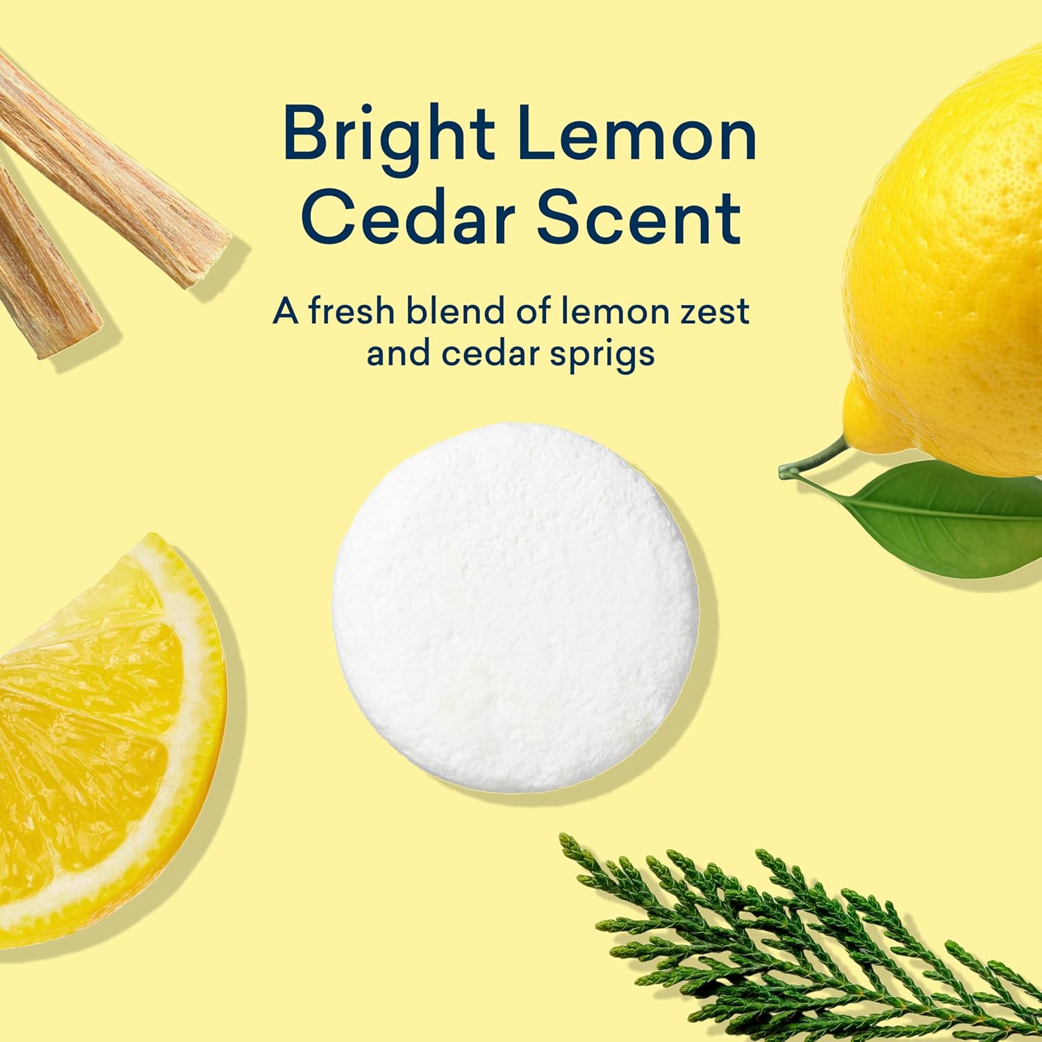 Blueland Toilet Bowl Cleaner Tablets Starter Set (14 Count)